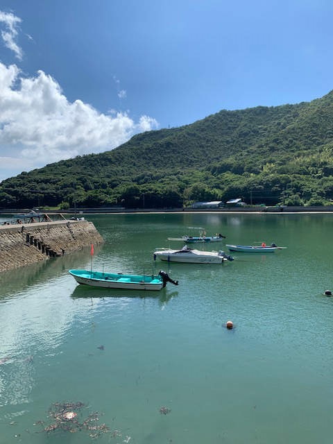 横島