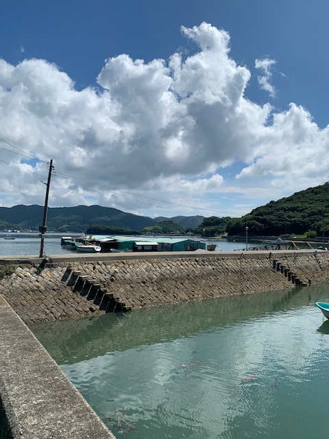 横島　波止