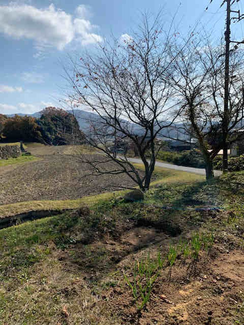 岡山県和気郡