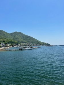 田島横島