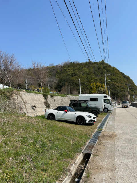 田島　やぶ椿と水仙の里