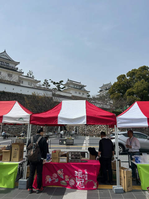 春の福山城　新酒日本酒祭り