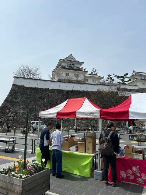 春の福山城　新酒日本酒祭り