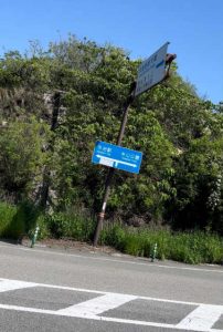 糸山公園