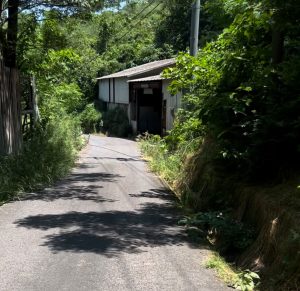 横島