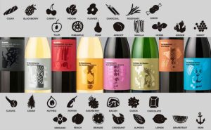 ビコーズワイン